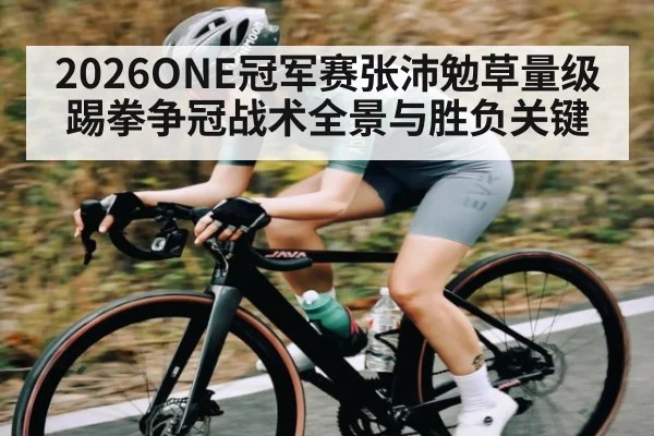 2026ONE冠军赛张沛勉草量级踢拳争冠战术全景与胜负关键 | c7c7.app